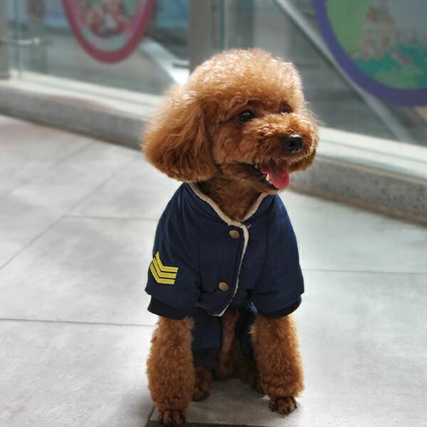 楽天市場】ALPHAICON アルファアイコン スパンニットカバーオール 1L