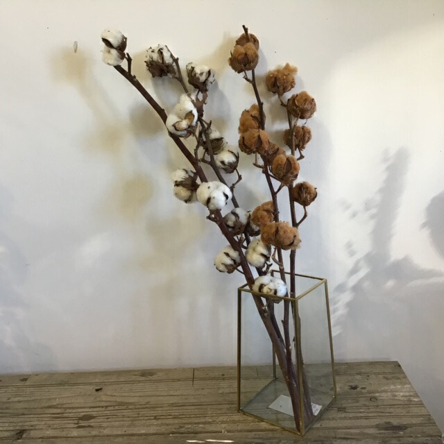 枝 ツリー 【人工観葉植物】【グリーン壁掛け】【壁面緑化】【触媒加工 ...