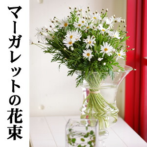 大人気！清楚でナチュラルな贈物♪送別/卒業/送迎/期間限定/誕生日ギフト/可愛い系/ホワイト