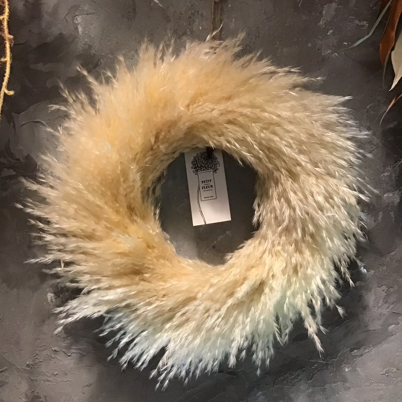 楽天市場】【パンパスのタペストリー】【ドライフラワー