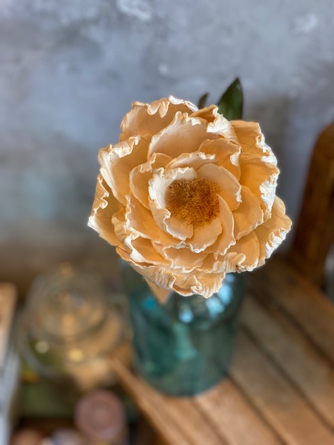 ソラフラワー スターピオニー ディフューザー用 クラフト花資材 インテリア 玄関お部屋に インスタ映え Crunchusers Com