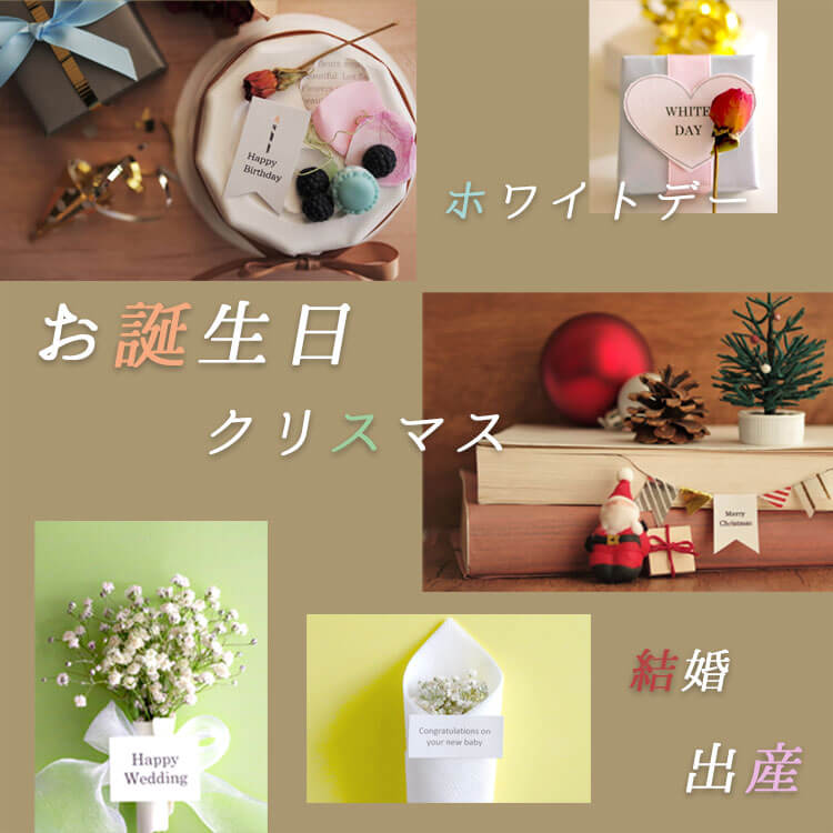 テディべアクリーム【身長52cmDMサイズ】【別オプション名入れ可】大きいぬいぐるみくまクマふわふわベージュナチュラル8019000