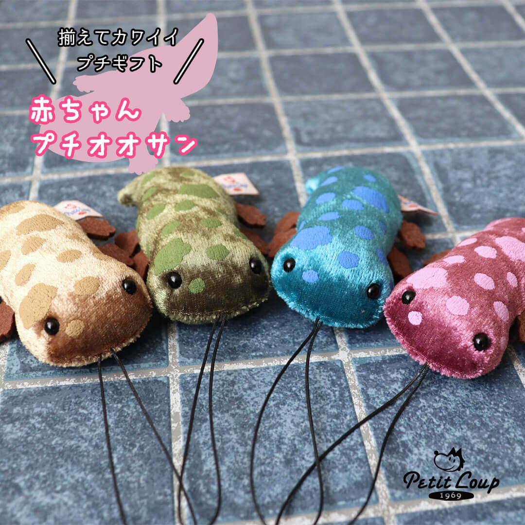 まーやん 越冬ふわとろ毛布＋オオサンショウウオセット sansyotpall.jpg