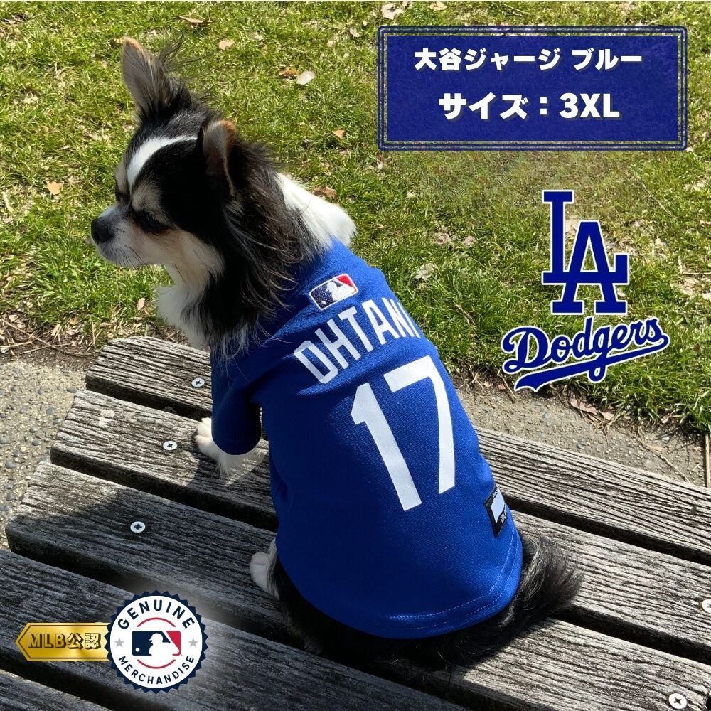 《尖んがり3倍》MLB堅苦しさ ドジャース 大谷ティーシャツ 3XL 青碧 ｢幻想曲世界｣【貨物輸送無料(構成要素領域を除く)】