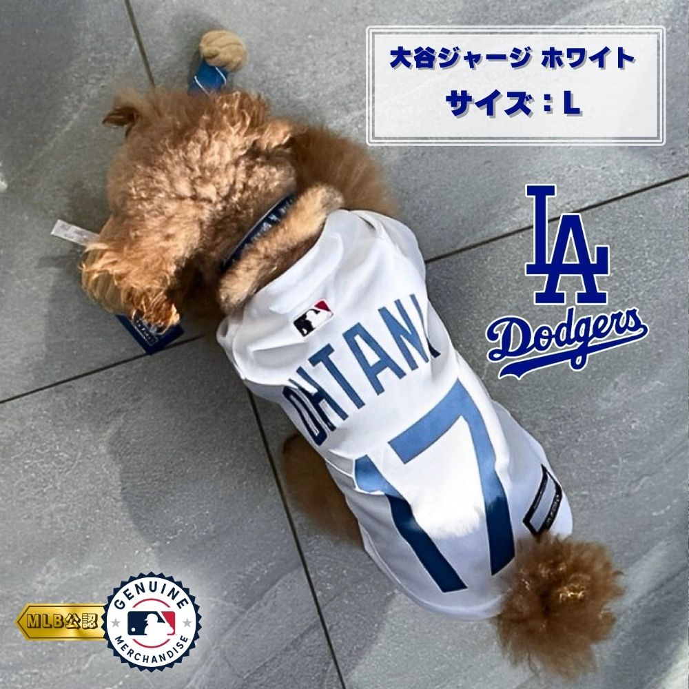 札幌大谷　ジャージ 札幌大谷ジャージ