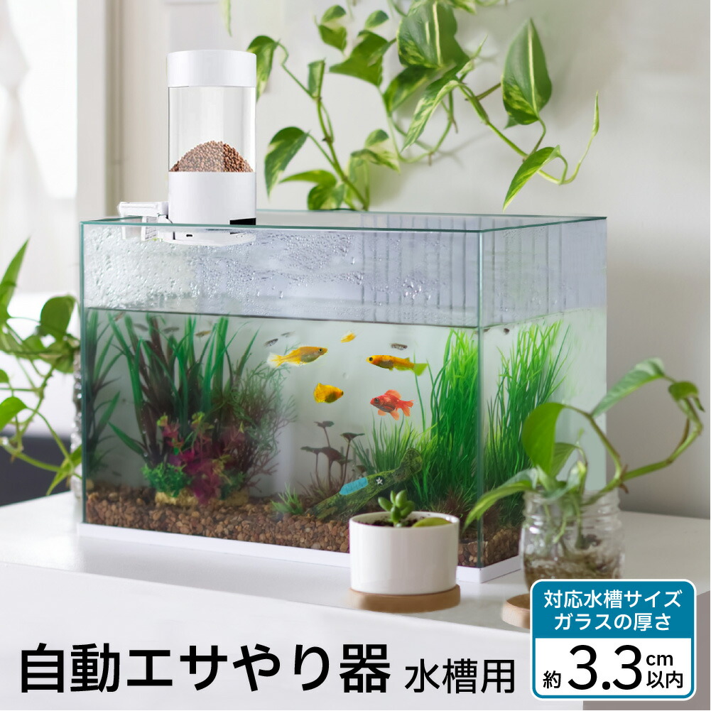 自動給餌器　自動餌やり機　めだか　エサ　水槽熱帯魚　10個セット 楽天市場】ランキング 1位 受賞 給餌器 自動給餌器 魚 熱帯魚 餌