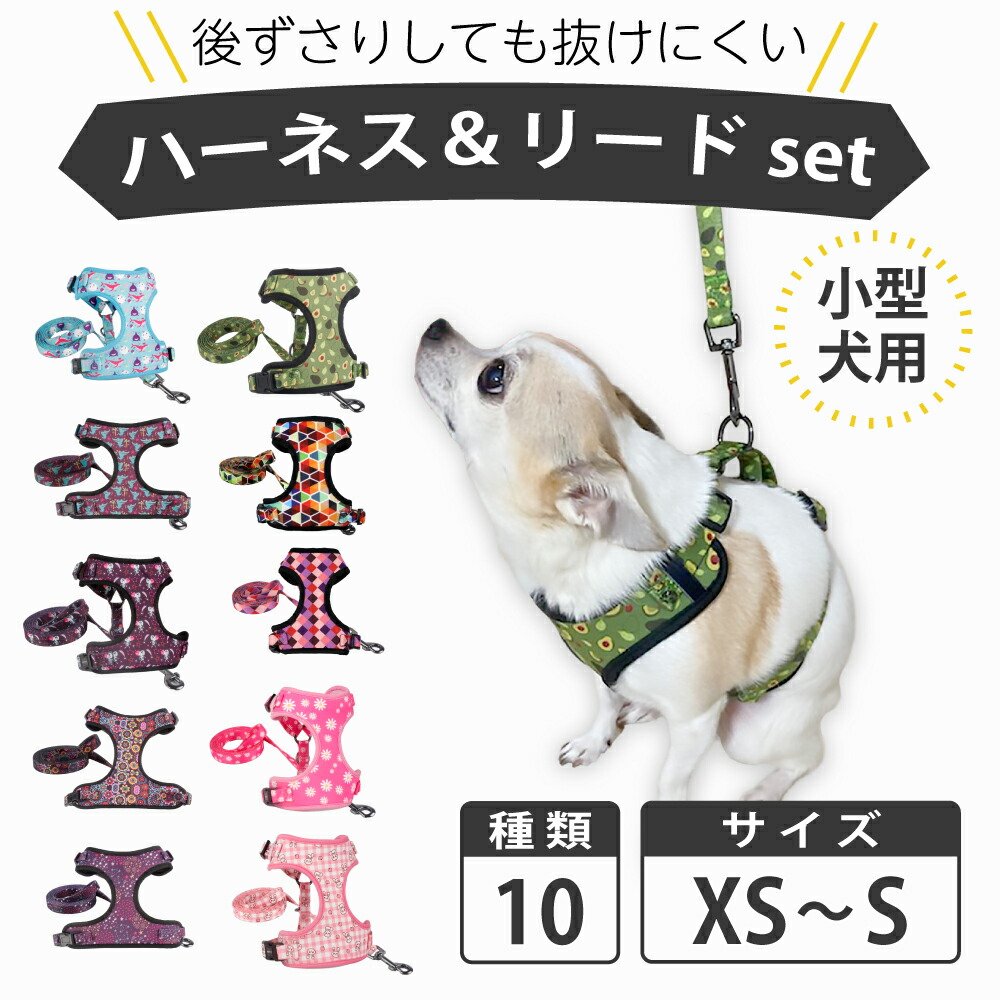 数量限定 期間限定 特別セールハーネスタイプリード 小型犬 首輪 リードセット 交換無料 犬 リード セット 【気質アップ】 ブランド かわいい おしゃれ 大型犬 猫 痛くない 中型犬