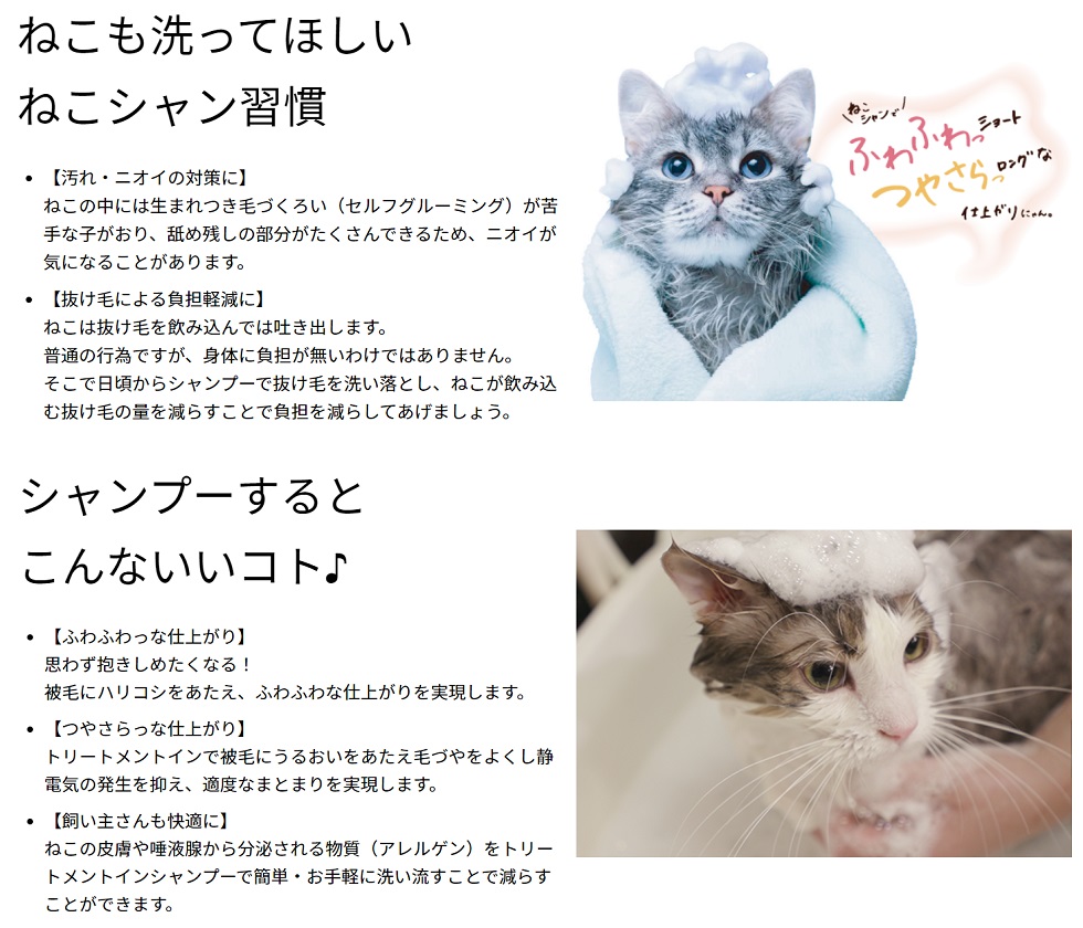 楽天市場 ゾイック ｎ キャッツ トリートメントインシャンプー ショート 中 短毛猫種用 ３００ｍｌ ペットランド熊取