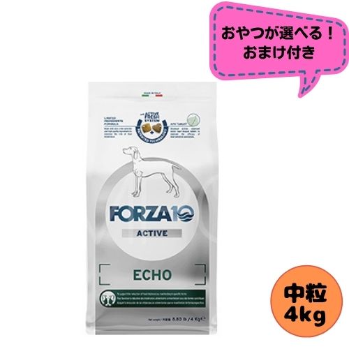 【お兄ちゃんおまけ付】フォルツァ10 DOG エコーアクティブ 並み並み 4kg ドッグフード 素っ気ない 組み入れる滋養分食 治療薬食 耳の煩わしさ フォルツァディエチ  成犬用 中粒 中型犬 大型犬 犬用