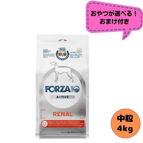 【お兄ちゃんおまけ付】フォルツァ10 DOG リナールアクティブ 並み並み 4kg ドッグフード 素っ気ない 組み入れる滋養分食 治療薬食 腎の臓煩わしさ 腎欠くこと フォルツァディエチ 心の臓 成犬用 中粒 中型犬 大型犬 犬用