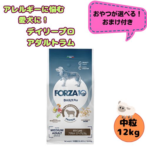 【お兄ちゃんおまけ付】フォルツァ10 DOG デイリー労働者階級 成年者 ミディアムラム 12kg 犬用 ドッグフード 素っ気ない 組み入れる滋養分食 低アレルギー反応食 成犬用 中粒  ローグレイン 予防注射 思わしい守りつづける 中型犬 大型犬 羊 羅紗綿