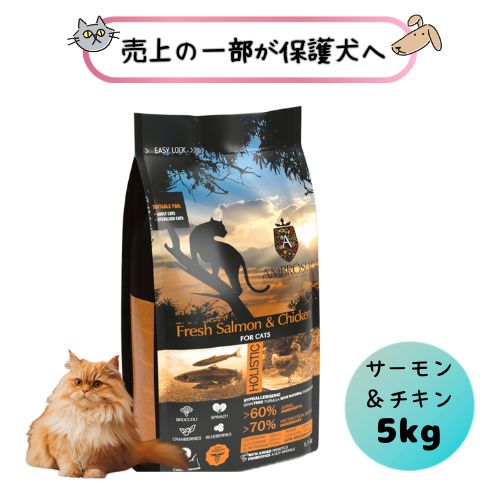 【売上の一部が保護犬へ】猫用 アンブロシア キャット サーモン＆チキン 5kg キャットフード ドライ グレインフリー 総合栄養食 魚 フィッシュ 鶏肉 オールステージ キトン 仔猫 子猫 成猫 アダルト シニア 老猫 穀物不使用 全年齢 カリカリ えさ エサ ねこ ネコ