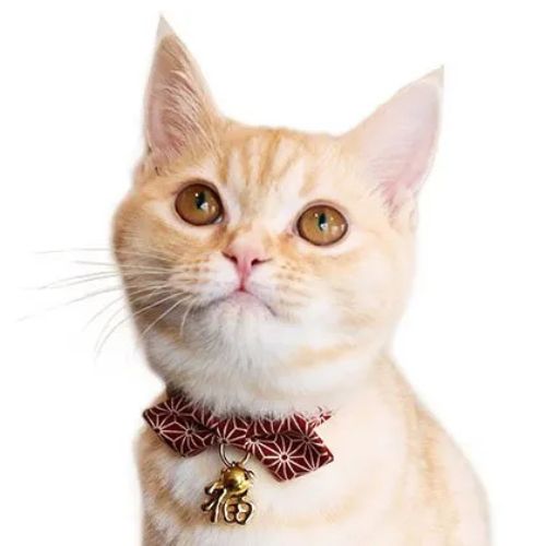 楽天市場】【メール便】CAT Amo.k アモワークス キャット アンカー