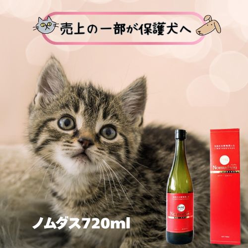 【売り上げ高の構成要素が保護すること犬へ】ノムダス 720ml愛玩動物用 犬猫用 思わしい守りつづける 食欲不活化 デトックス 国産 日本製 予防接種力盛りかえす 土手っ腹の思わしい愛犬 愛猫 成犬 成猫 ねこ 猫 年がしら 抜け毛 かゆみ 体力 加えること アンチエイジング