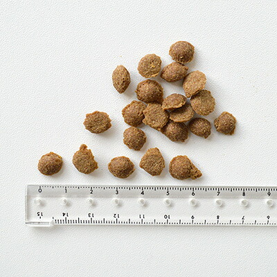 Yum Yum Yum ヤムヤムヤム チキン ドライタイプ 2kg 犬用 ドッグフード 国産 無添加 ヒューマングレード Prevencaobrasil Com Br