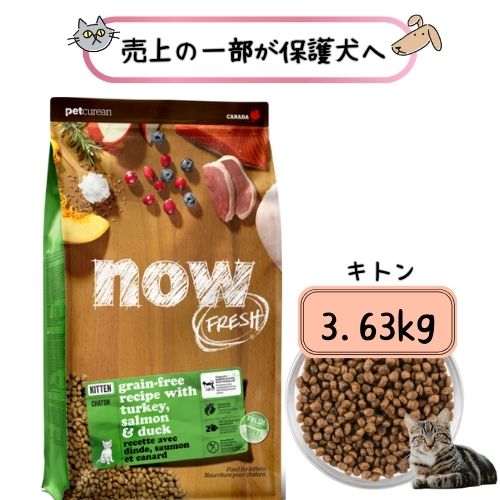 【売り上げ高の構成要素が保護すること犬へ】ナウ生新しい グレインフリー キトン 3.63kg キャットフード 素っ気ないボンネット 貨物輸送無料 子ネコ 子ネコ 取り入れる栄養分食 グルテン無償性 カリカリ 猫のエサ キャットフード・サプリメント-キャットフード