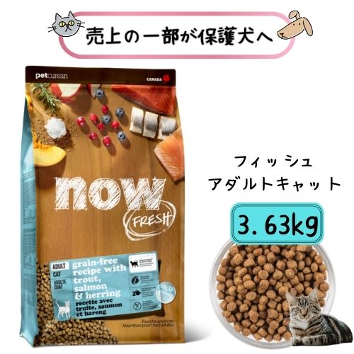 【売り上げ高の構成要素が保護すること犬へ】ナウ生新しい グレインフリー フィッシュアダルトキャット 3.63kg キャットフード 素っ気ないボンネット グルテン無償性 猫 ボンネット ねこ田の実 ねこごはん ねこボンネット 猫ボンネット 猫の田の実 ねこのえさ 猫のエサ 猫のえさ 猫の餌 ねこえさ 貨物輸送無料