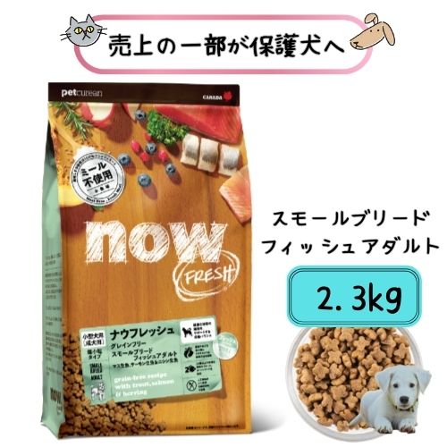 楽天市場】【P10倍】【ナウフレッシュ NOW FRESH】グレインフリー