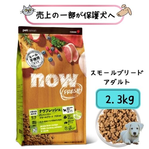 楽天市場】【ポイント10倍！】【ナウフレッシュ NOW FRESH】グレイン