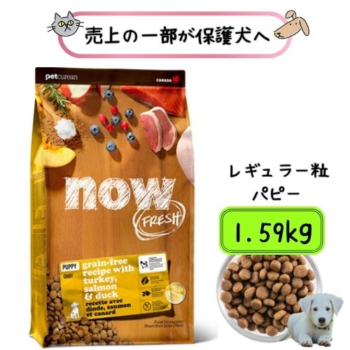【正規品】ナウフレッシュ グレインフリー パピー 1.59kg ドッグフード ドライ 子犬 仔犬 中型犬 大型犬 普通粒 大粒 グルテンフリー 総合栄養食 犬用