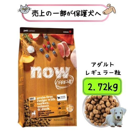 【売り上げ高の構成成分が保護すること犬へ】 ナウ生新しい グレインフリー 成年者 2.72kg ドッグフード 貨物輸送無料 犬用 素っ気ないボンネット 中粒 成犬 中型犬 大型犬 決まり切った粒 レギュラー粒 組み入れる栄養物食 グルテン無償性 七面鳥