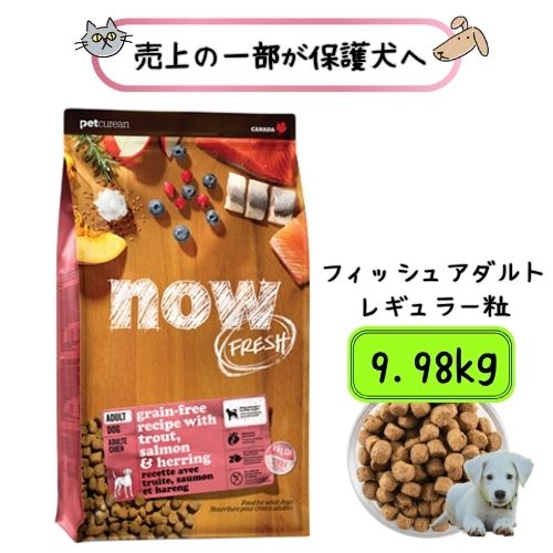 【売上の一部が保護犬へ】ナウフレッシュ グレインフリー フィッシュアダルト 9.98kg ドッグフード ドライフード 大袋 大容量 送料無料 犬用総合栄養食 グルテンフリー 成犬 中型犬 大型犬 中粒 普通粒 レギュラー粒 魚 サーモン