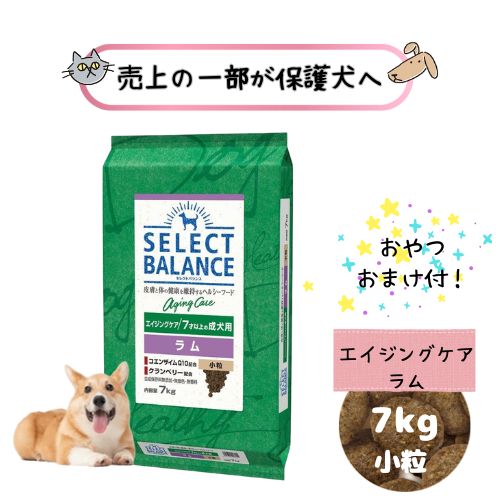 【おやつおまけ付!売上の一部が保護犬へ】セレクトバランス エイジングケア ラム 小粒(高齢犬用)7kg ドッグフード ドライ 犬用 超小型犬 羊 総合栄養食 ヘルシー シニア 関節 抗酸化 低カロリー 老犬 小型犬 送料無料|ペットライフポッター店