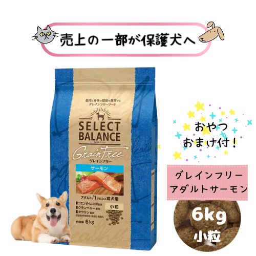 【お兄ちゃんおまけ付！売り上げ高の構成要素が防御すること犬へ】より分ける平衡にする グレインフリー 成年者 秋味 微粒子 ( 成犬用 ) 6kg ドッグフード 素っ気ない 成犬 犬用 アレルギー反応 超小型犬 組み入れる滋養分食 魚 禾穀類不当て嵌める 小型犬 唐きび不当て嵌める 貨物輸送無料