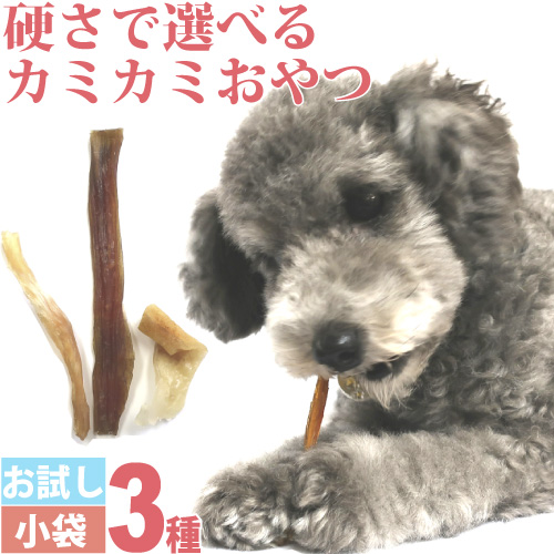 楽天市場 犬 ガム 無添加 国産 おやつ お試し ３種類 10g 小袋 セット 硬さ で 選べる アキレス 牛 馬 背筋 豚耳 カミカミ 噛む ジャーキー 歯石 デンタル Komachi Na ナチュラルペットフード Shop