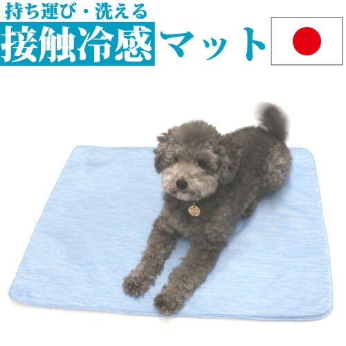 犬と暮らす花粉打つ手｜おほっつき歩く後の世話をする