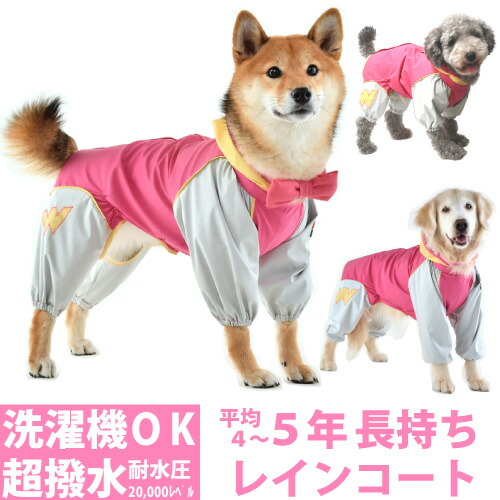 犬と暮らす花粉打つ手｜おほっつき歩く後の世話をする
