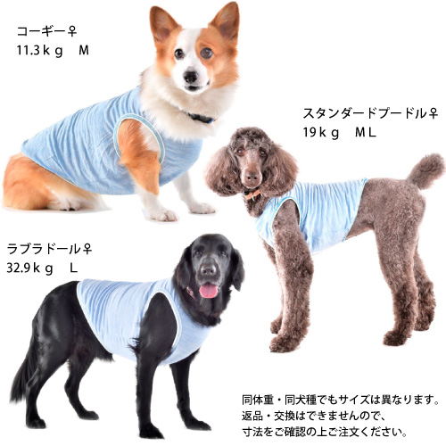 楽天市場 犬 夏 服 ストロングクールタンク ｍサイズ 着丈39cm 接触冷感 濡らさない 冷たい 涼しい ひんやり クールウエア 暑さ対策 夏服 クール 服 Cool ドッグウエア 日本製 Whcy 中型犬 コーギー 柴 コッカー スパニエル シェルティ クールベスト タンクトップ