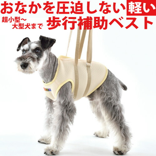 メッシュアシストベスト Ss M 小型犬 中型犬 用 犬用 介護 ケア 歩行補助 高齢犬 シニア犬 老犬 介護服 足腰 の 筋力 が 低下 した 犬 ふらつき 補助 サポート 介護用ハーネス 立ち上がり 介助ベスト 股関節 ヘルプ 着たまま トイレ 持ち手付き 胴着