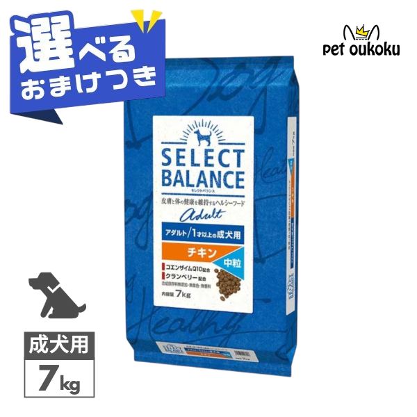 【選べるおまけ付き】 セレクトバランス アダルト チキン 7kg 中粒 1才以上 成犬用 【皮膚・被毛ケア/関節・消化サポート】 正規品 ドッグフード 無添加 無着色 プレミアムフード 4541851006057