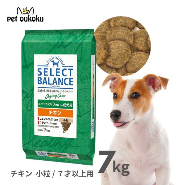楽天市場】セレクトバランス エイジングケア ラム 小粒 7才以上の成犬