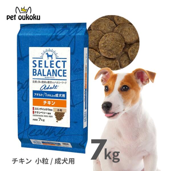 supersale