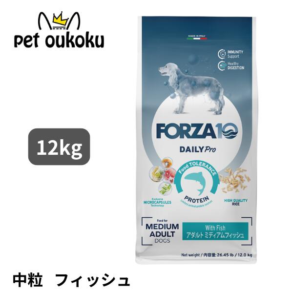 楽天市場】FORZA10 フォルツァディエチ Daily Pro アダルトミディアム