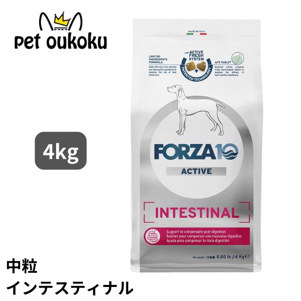 FORZA10 フォルツァ10 インテスティナル アクティブ ミディアム 4kg 成犬用 中粒 ドッグフード 8020245714298