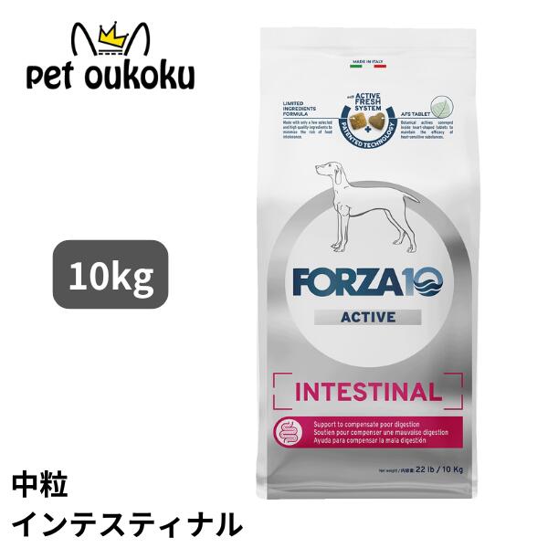 FORZA10 フォルツァ10 インテスティナル アクティブ ミディアム 10kg 成犬用 中粒 ドッグフード 8020245714496 17,325円