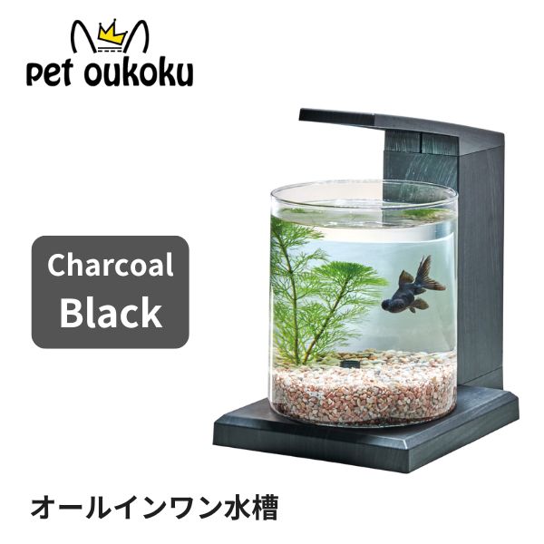 楽天市場】【新商品】 GEX グラスアクア PERCO C-Charcoal Black