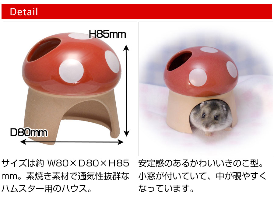 新作からSALEアイテム等お得な商品満載 三晃商会 素焼きハウス きのこ ハムスター ドワーフハムスター ゴールデンハムスター 小動物 ハウス NK  qdtek.vn