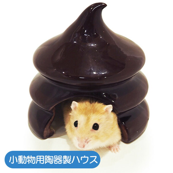 楽天市場】ジャンガリアンのカラフルドーム ： パイナップル