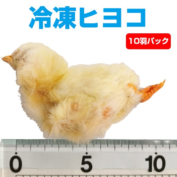 楽天市場】【冷凍】冷凍ウズラ ヒナ 10羽パック（T2）【クール