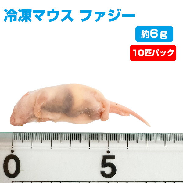 国産 冷凍マウスアダルト L 50匹 (送料無料一部地域発送不可