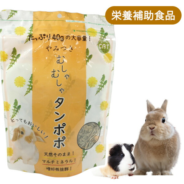 ウサギ うさぎのしっぽ通販は、『うさぎと暮らす 87号』を全国へお届け