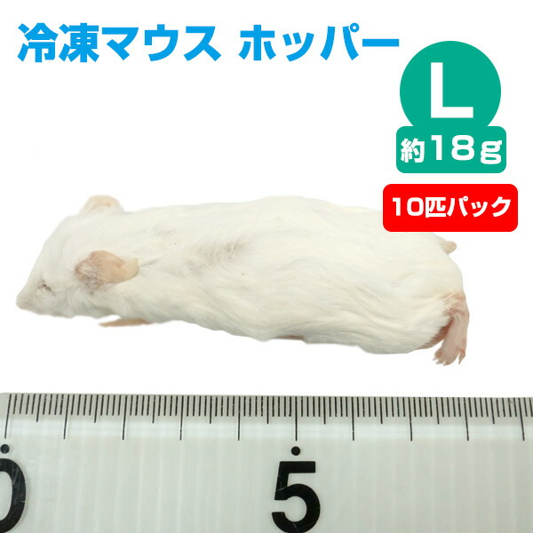 imgrc0096236468.jpg