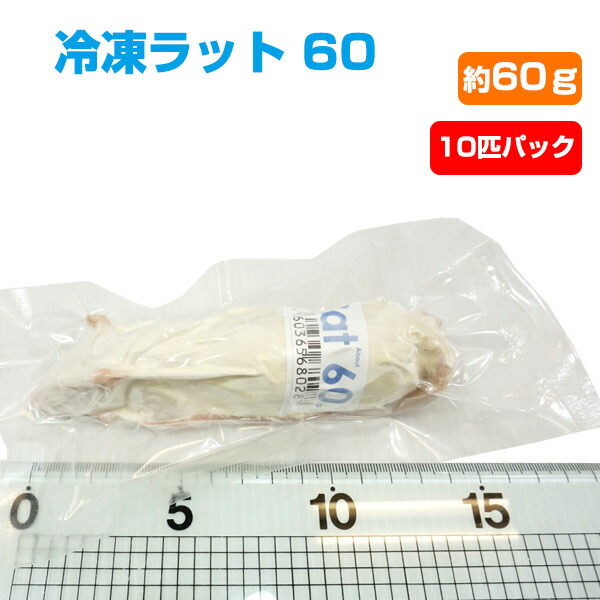 楽天市場】【冷凍】冷凍マウス ホッパー Lサイズ（約18g）10匹