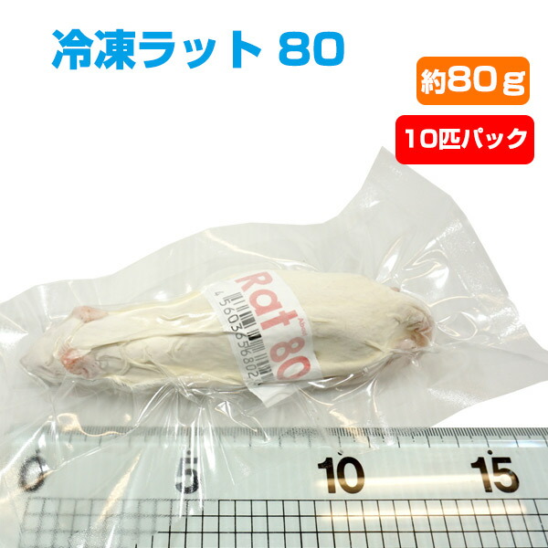 楽天市場】【冷凍】冷凍アダルトラット Sサイズ（約100g）10匹パック