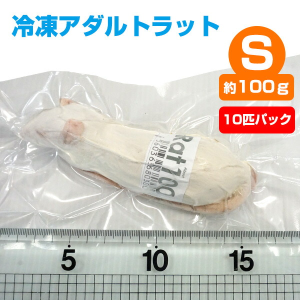 楽天市場】【冷凍】 冷凍マウス アダルトLLサイズ（約40g）10匹