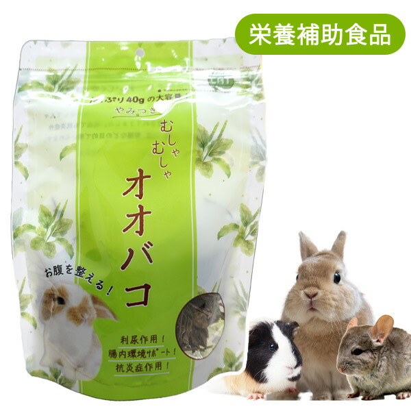 楽天市場】【賞味期限2025年12月】乾燥オオバコ 100g 無添加 葉 葉っぱ